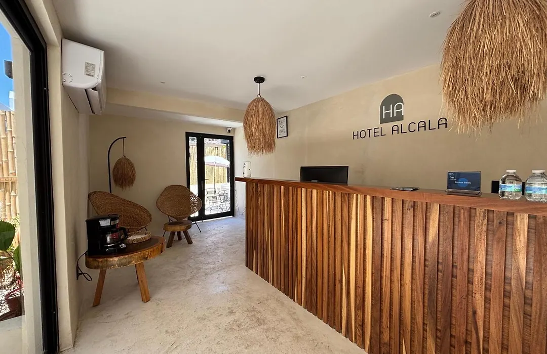 Hotel Boutique Alcala Vallarta-1